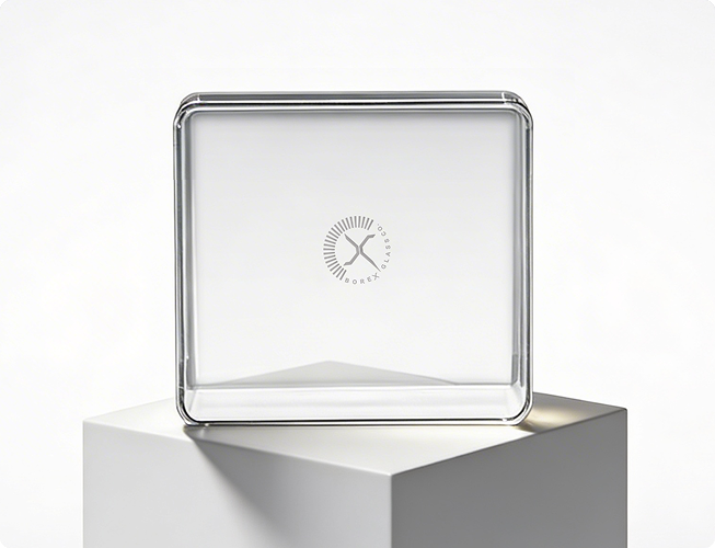 Square roaster large